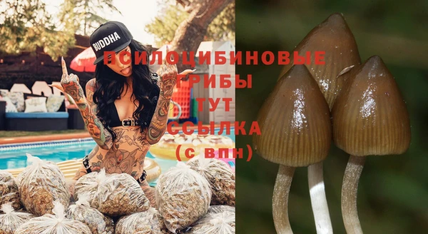трава Зерноград