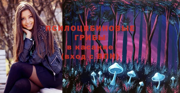 твердый Зеленодольск